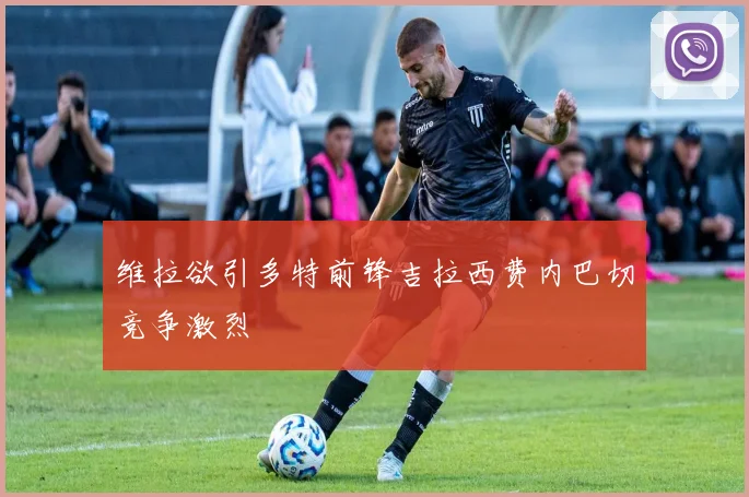 维拉欲引多特前锋吉拉西费内巴切竞争激烈