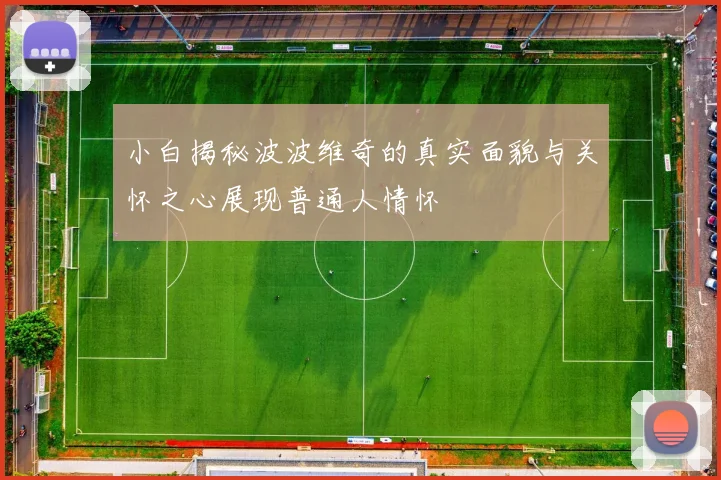 小白揭秘波波维奇的真实面貌与关怀之心展现普通人情怀